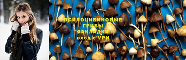 скорость Алексеевка